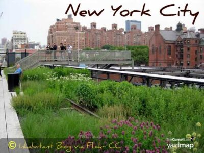 Urban Community Green Spaces Image